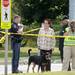 An Ann Arbor police officer speaks with witnesses as another officer photographs the scene after a pedestrian was struck by a car while attempting to cross Plymouth Rd. between Traverwood Dr. and Nixon Rd. on Wednesday, August 7, 2013. Melanie Maxwell | AnnArbor.com 